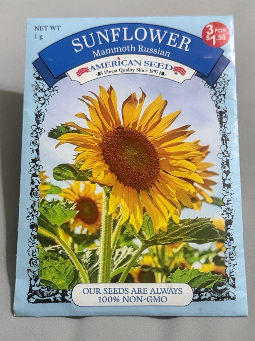 Sunflower Mammoth Russian Seeds
